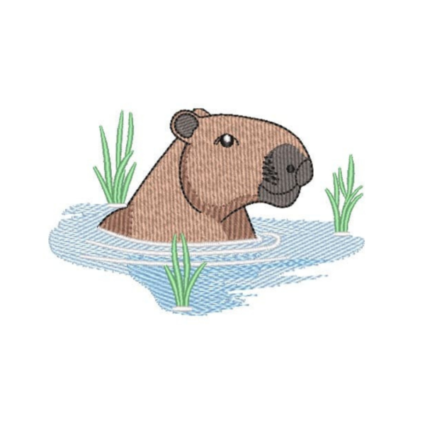 Capivara03