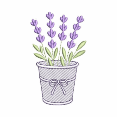 Lavanda11