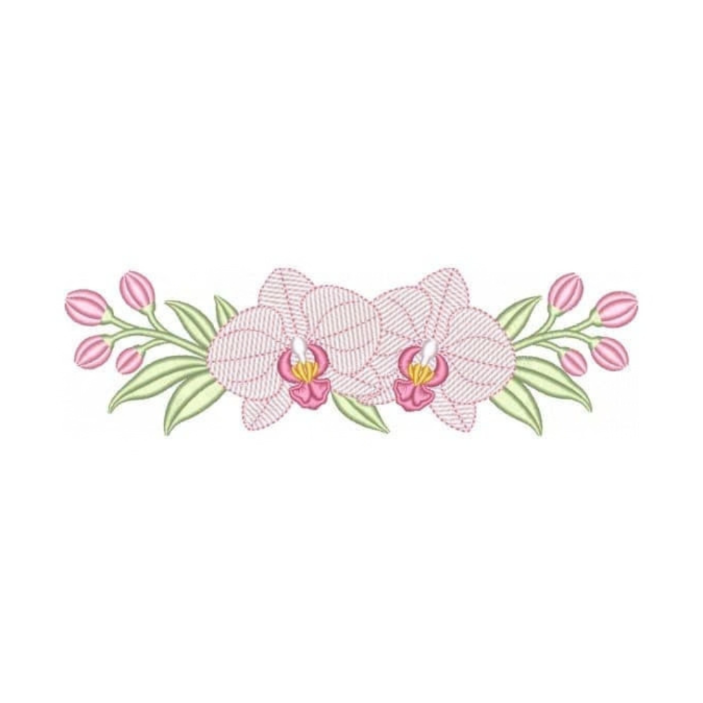 Orquídeas Rosé